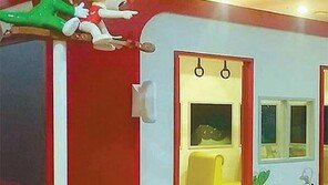 [수도권]32세 둘리, 고향 쌍문동에 내집 마련