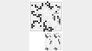 [바둑]제59기 국수전… 승부수 126