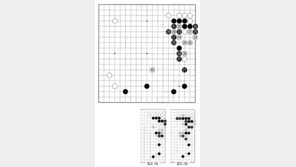 [바둑]제59기 국수전… 일류감각 40