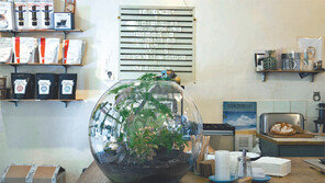 [Q매거진]커피 한잔과 “Bonjour∼” 파리의 아침을 여는 新카페문화