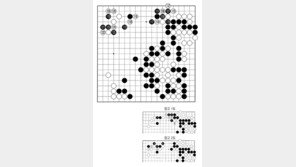 [바둑]제59기 국수전… 최선이자 최강 120