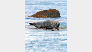 [Feeling]“우리의 터전 사랑해 주세요”