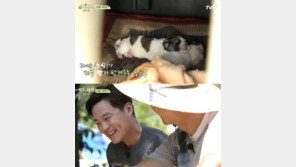 ‘삼시세끼’ 마스코트 밍키, ‘엄마’ 됐다…새끼 강아지 모습에 이서진·옥택연 ‘아빠 미소’