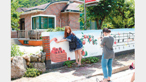 [충북]단양 사인암리 마을 벽화 인기