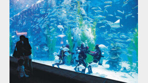 [Q매거진]롯데월드 아쿠아리움 ‘에듀 바캉스’