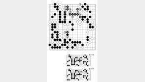 [바둑]제59기 국수전… 응수타진 153, 155