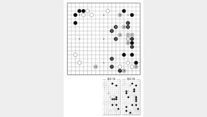 [바둑]제59기 국수전… 목발 최철한