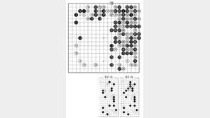 [바둑]제59기 국수전… 일발필도