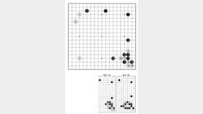 [바둑]제59기 국수전… 형제 기사