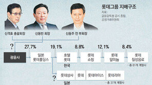 “재계 5위가 페이퍼컴퍼니 수준”… 커지는 지배구조 개혁론