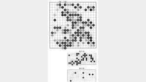 [바둑]제59기 국수전… 고정관념