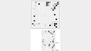[바둑]제59기 국수전… 변신은 무죄?