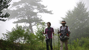 [Q매거진]시원한 계곡바람 따라 걷는 길 ‘마음의 때’까지 말끔히 씻어내 