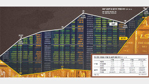 [Money&Life]선진국도 불안, 널뛰기 장세… 현금성 투자 주목!