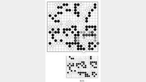 [바둑]제59기 국수전… 착각