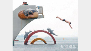 [부산/경남]돌고래처럼 멋진 다이빙