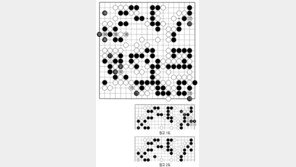 [바둑]제59기 국수전… 건곤일척