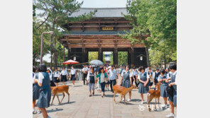 15m 거대 불상… 韓日 융합한 日 독자문화의 출발 상징