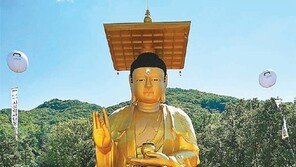 서울 능인선원에 건물 10층 높이 약사대불