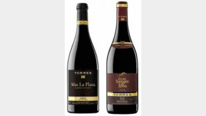 ‘정열의 땅’ 스페인에서 영그는 포도… 당신의 혀끝을 사로잡을 바로 그 와인