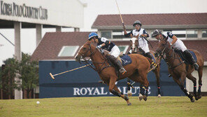 [Q매거진]전속력으로 달리는 말 위에서 공만을 쫓는 ‘남자의 스포츠’ 