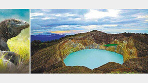 [여행, 나를 찾아서]코모도 국립공원의 관문 ‘라부안바조’… 신비로운 ‘삼색 호수’에 황홀