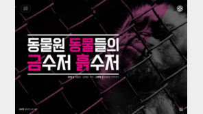 [카드뉴스]동물 세계에도 금수저-흙수저 따로 있다?