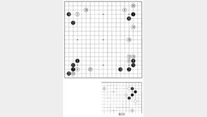 [바둑]제59기 국수전… 기대주