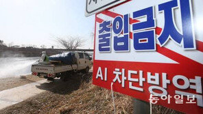추석 앞두고 AI 항원 검출, 농림품부 “AI 상시예찰”