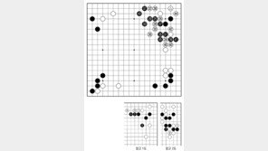 [바둑]제59기 국수전… 간과
