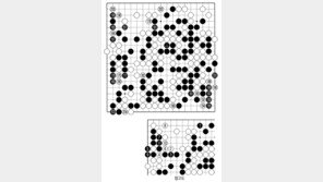 [바둑]제59기 국수전… 급전직하