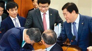 ‘野비판 논란’ 안홍철 투자公 사장 국감 출석