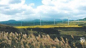 [제주]제주 풍력개발사업 ‘무늬만 공공개발’ 논란