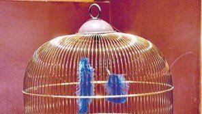 [Q매거진]“발랄하게… 대담하게… 리뽀族은 날마다 여행가방을 바꿔든다” 