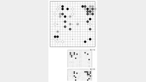 [바둑]제59기 국수전… 얌전한 색시
