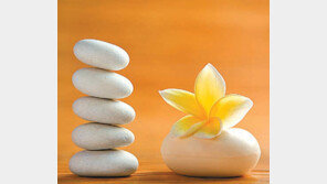 [DBR]맹자가 주목한 ‘世臣’… 기업 떠받치는 ‘오랜 벗’ 될 수 있다