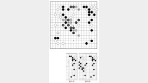 [바둑]제59기 국수전… 바꿔치기?