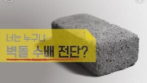 [카드뉴스]용인 캣맘 사망사건, 몽타주 대신 벽돌 수배 전단?