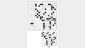 [바둑]제59기 국수전… 백의 노림