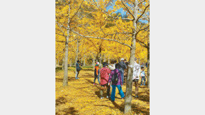 [농부 박인호의 전원생활 가이드]<44>전원생활 터, 단풍 떨어진 겨울에 보라