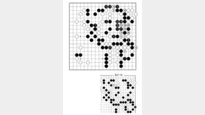 [바둑]제59기 국수전… 대형 바꿔치기