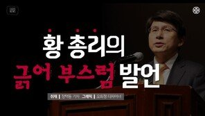 [카드뉴스] “필요하면 입국 허용” 황 총리의 긁어 부스럼 발언