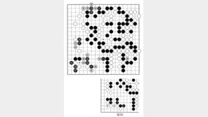 [바둑]제59기 국수전… 수순 착오