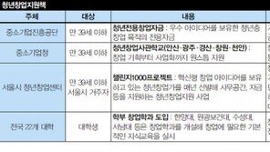 헬리콥터 지원에도 3년 못 버티는 청년창업  