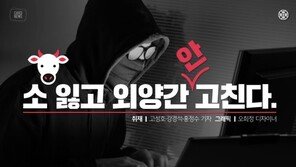 [카드뉴스] 北에 번번이 뚫린 국회의원 PC…소 잃고 외양간 안 고친다