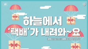 [카드뉴스] 하늘에서 택배가 내려온다? ‘장바구니 드론’