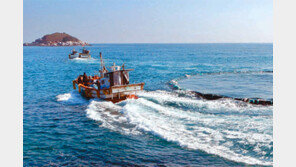 [토요기획]고성 앞바다서 연어도 양식… 11월 1만 마리 시범출하