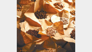 [DBR]정조, 일사병 치료제 대량생산… 왕의 고민이 화성축조 앞당겨