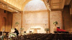 짝퉁 영세업자 35만 명…세금 못 걷나 안 걷나 