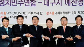 TK 대선주자 각축장 대구 정치 1번지  